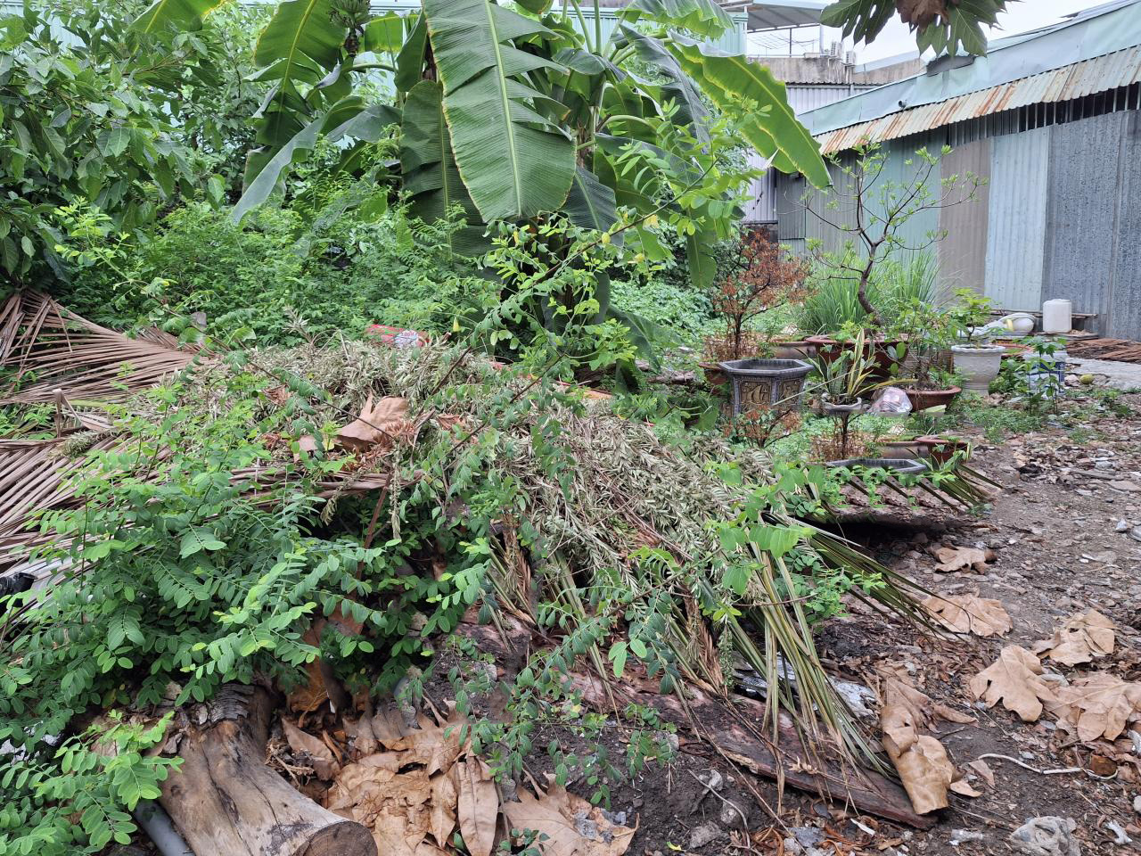 Đất vuông 189m², Đ.4m – Gò Dưa TĐ 4.x tỷ - Ảnh 2